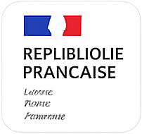 Carte d'identité française stylisée avec drapeau
